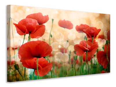 modern-3-piece-canvas-print-the-poppy