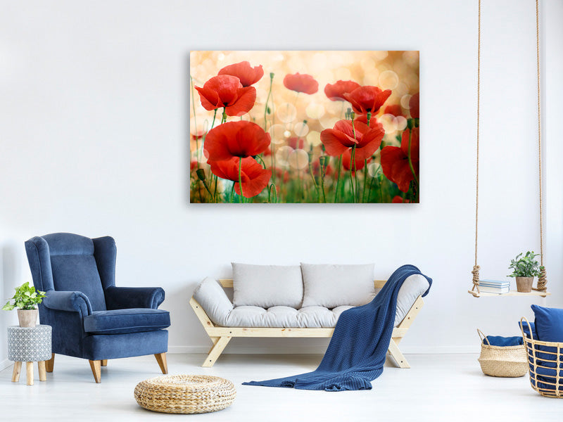 5-piece-canvas-print-the-poppy