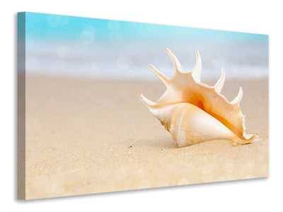 3-piece-canvas-print-the-shell-on-the-beach