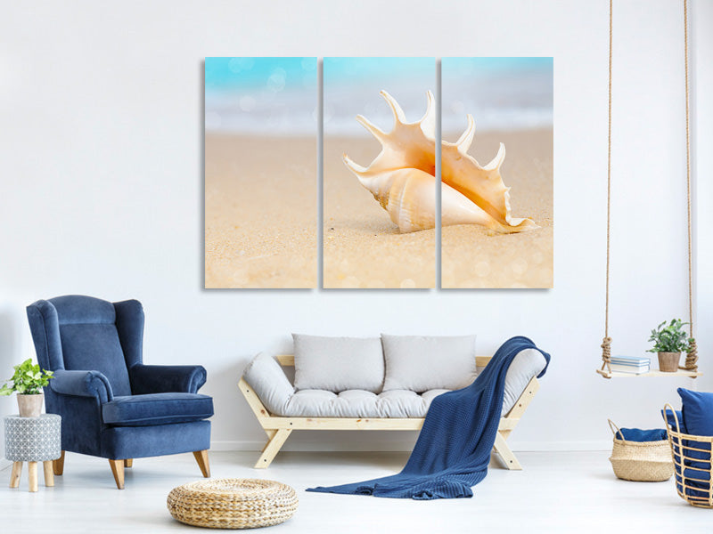 4-piece-canvas-print-the-shell-on-the-beach