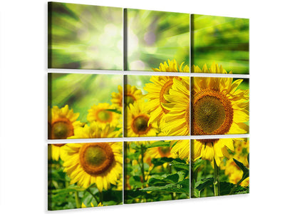 4-piece-canvas-print-the-sun-and-the-flowers