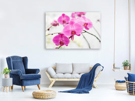4-piece-canvas-print-the-symbol-of-orchid