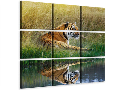 4-piece-canvas-print-the-tiger