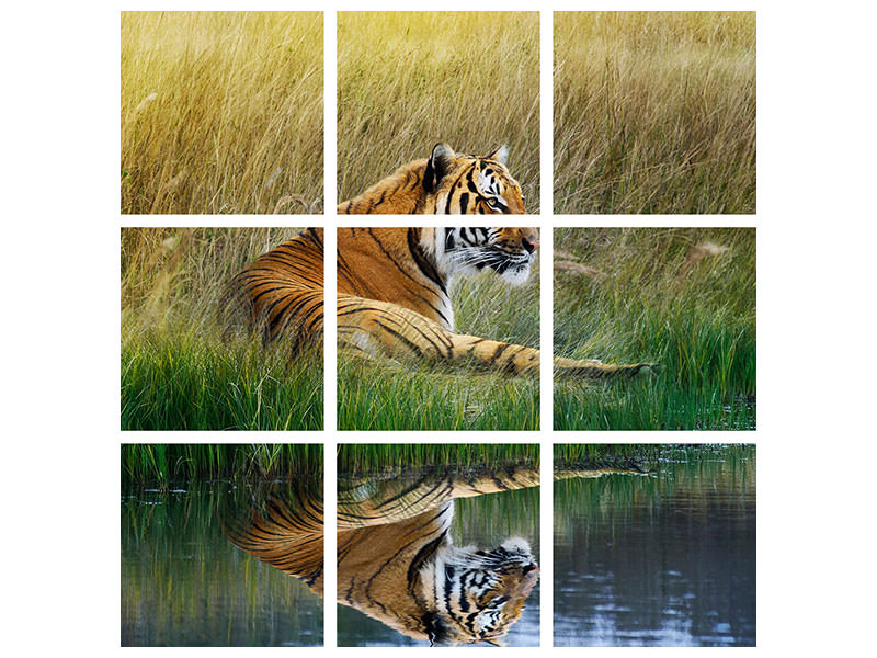 canvas-print-the-tiger