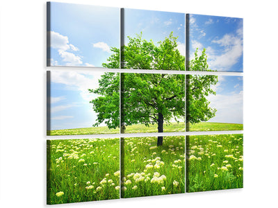 canvas-print-the-tree