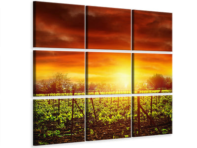 canvas-print-the-vineyard-at-sunset