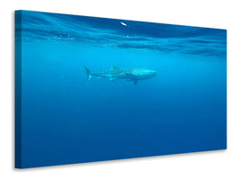4-piece-canvas-print-the-whale-shark