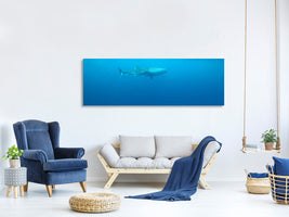 panoramic-3-piece-canvas-print-the-whale-shark
