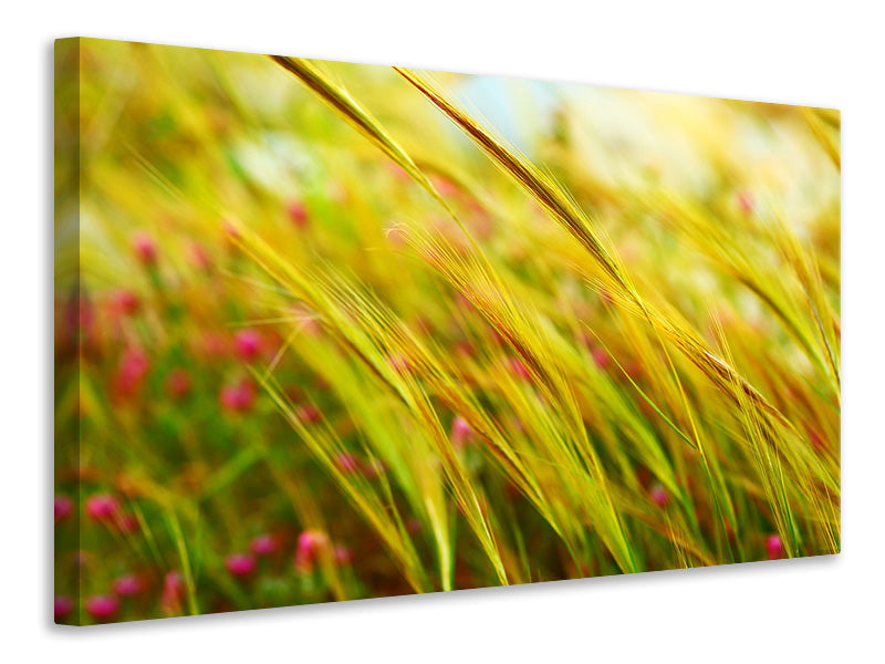modern-4-piece-canvas-print-the-wheat-field