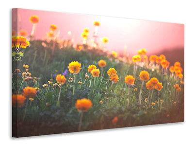 3-piece-canvas-print-the-mountain-meadow