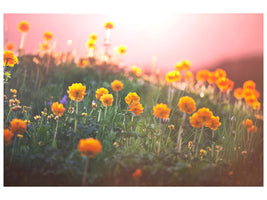modern-3-piece-canvas-print-the-mountain-meadow