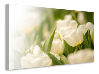 modern-3-piece-canvas-print-tulips-perspective