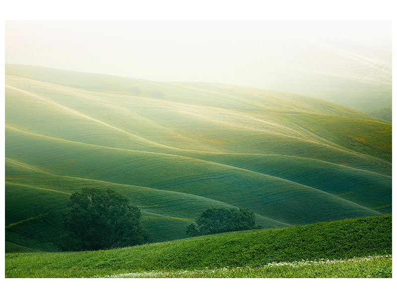 panoramic-3-piece-canvas-print-tuscany