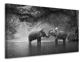 5-piece-canvas-print-two-elephants