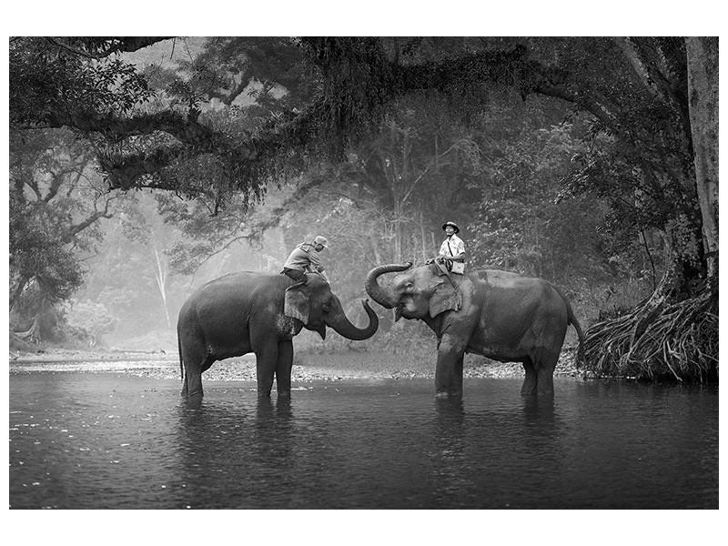 5-piece-canvas-print-two-elephants