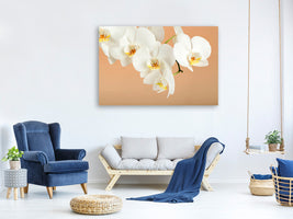 5-piece-canvas-print-white-orchid-flowers