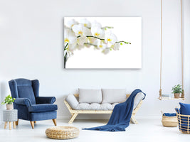 4-piece-canvas-print-white-orchids