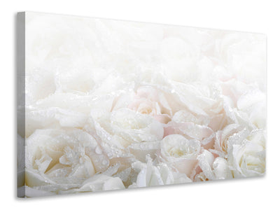 panoramic-canvas-print-white-roses-in-the-morning-dew
