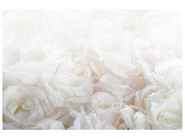 panoramic-3-piece-canvas-print-white-roses-in-the-morning-dew