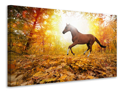 modern-3-piece-canvas-print-whole-blood-in-autumn-forest