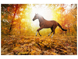 4-piece-canvas-print-whole-blood-in-autumn-forest