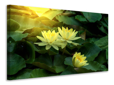 modern-3-piece-canvas-print-wild-lotus