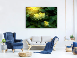 modern-4-piece-canvas-print-wild-lotus