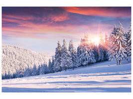 5-piece-canvas-print-winter-landscape