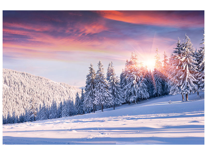 5-piece-canvas-print-winter-landscape
