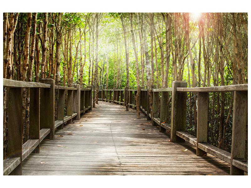 modern-4-piece-canvas-print-wooden-bridge