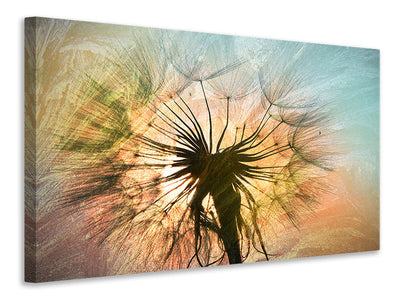 5-piece-canvas-print-xxl-dandelion