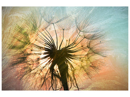 modern-4-piece-canvas-print-xxl-dandelion