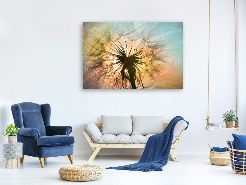 5-piece-canvas-print-xxl-dandelion