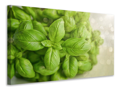 3-piece-canvas-print-a-bouquet-of-basil