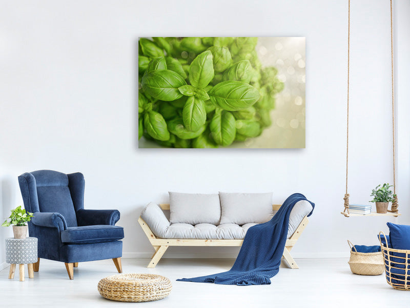panoramic-3-piece-canvas-print-a-bouquet-of-basil