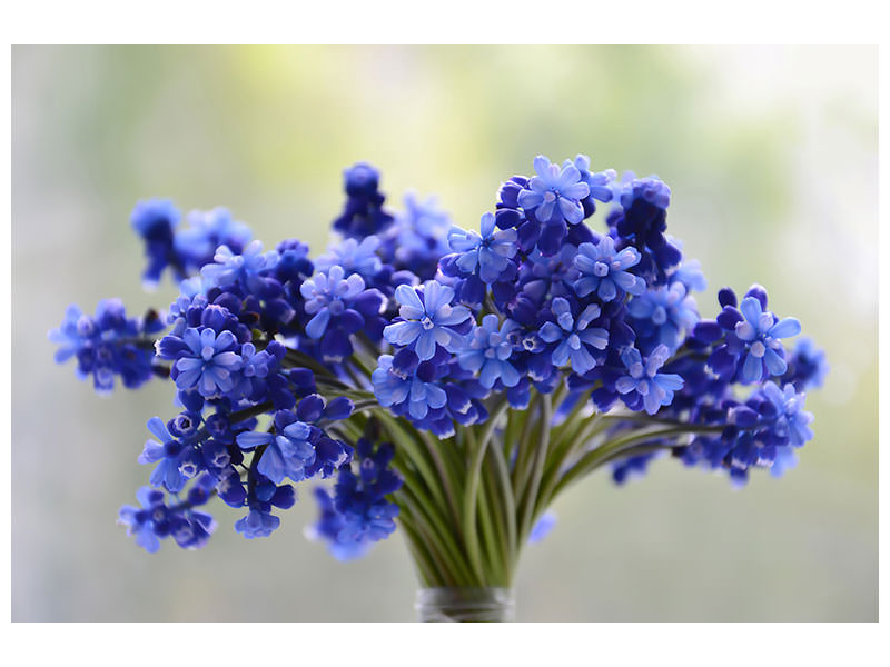 3-piece-canvas-print-a-bouquet-of-flowers