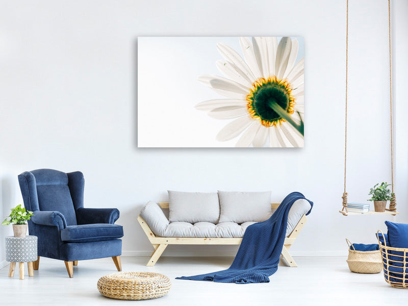 modern-3-piece-canvas-print-a-daisy