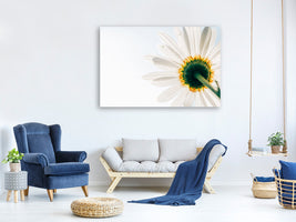 3-piece-canvas-print-a-daisy