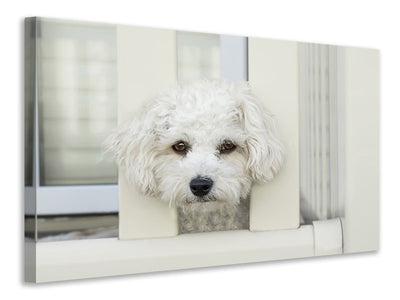 3-piece-canvas-print-a-dog-girl-to-fall-in-love