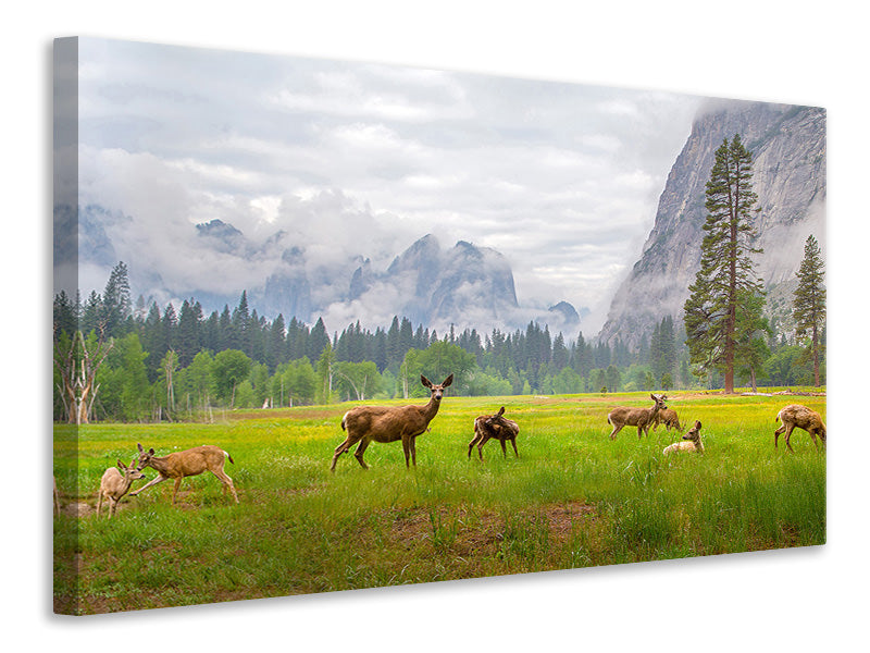 3-piece-canvas-print-a-feeling-of-ancient-time