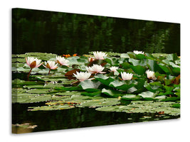 panoramic-3-piece-canvas-print-a-field-full-of-water-lilies