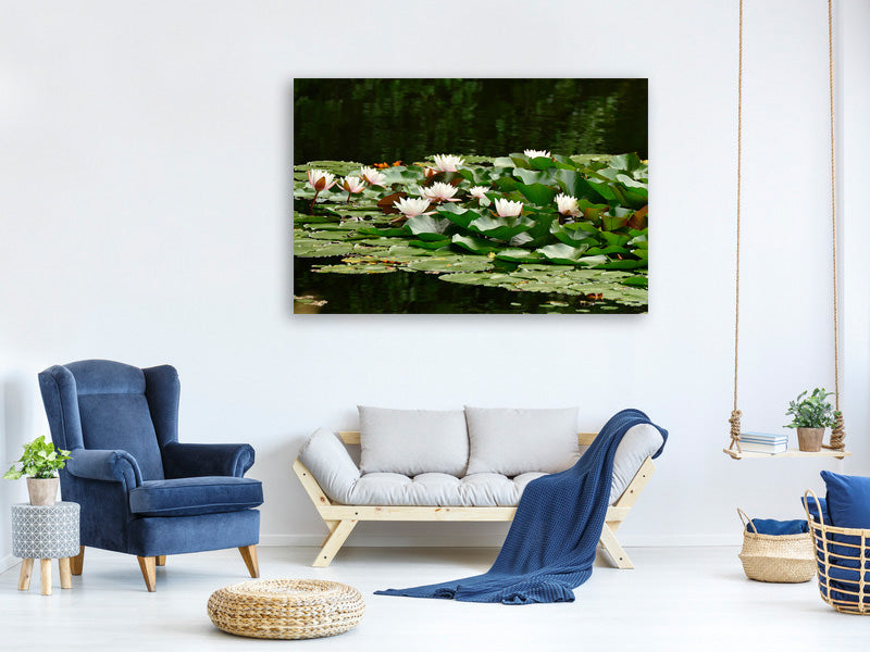 panoramic-3-piece-canvas-print-a-field-full-of-water-lilies