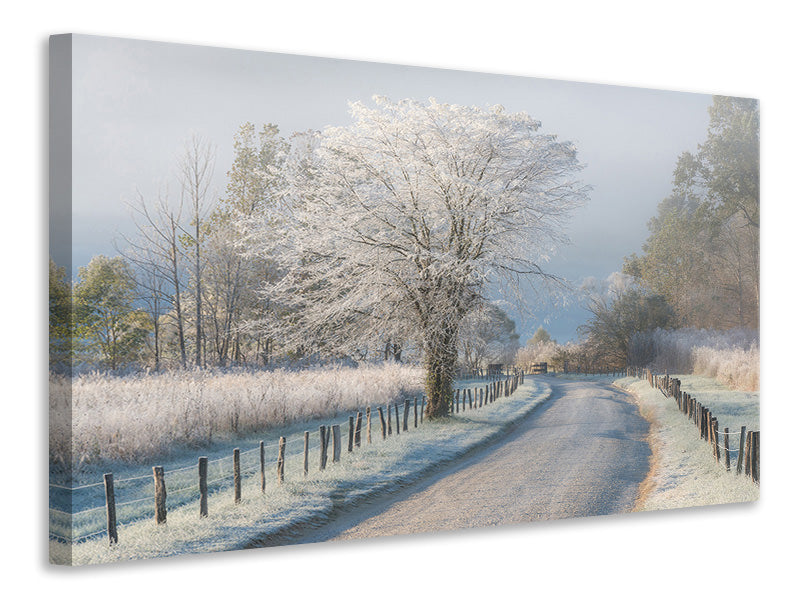 modern-4-piece-canvas-print-a-frosty-morning