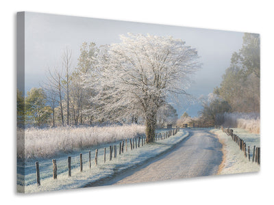 modern-3-piece-canvas-print-a-frosty-morning
