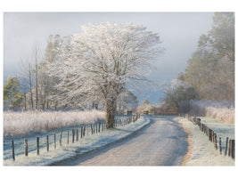 modern-4-piece-canvas-print-a-frosty-morning
