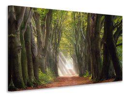 modern-3-piece-canvas-print-a-glorious-day
