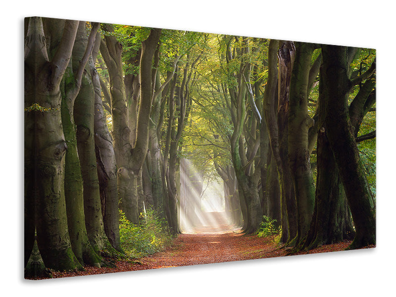 4-piece-canvas-print-a-glorious-day