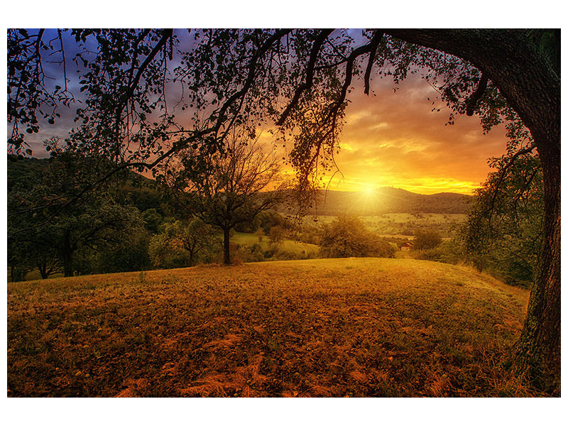modern-4-piece-canvas-print-a-landscape-in-the-sunset
