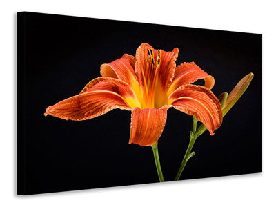 3-piece-canvas-print-a-lily-flower-in-orange