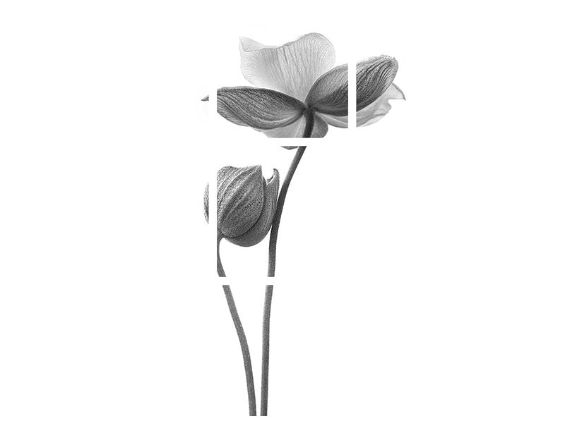 canvas-print-a-little-touch-monochrome